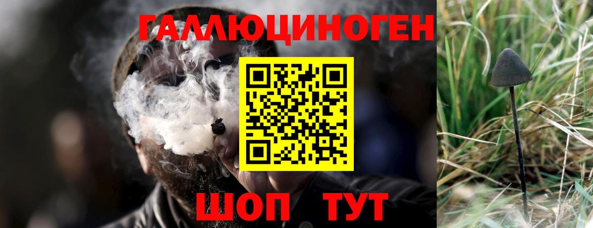 Галлюциногенные грибы MAGIC MUSHROOMS Великий Устюг